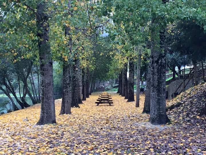 Casa Do Alto Βίλα Penacova Εξωτερικό φωτογραφία