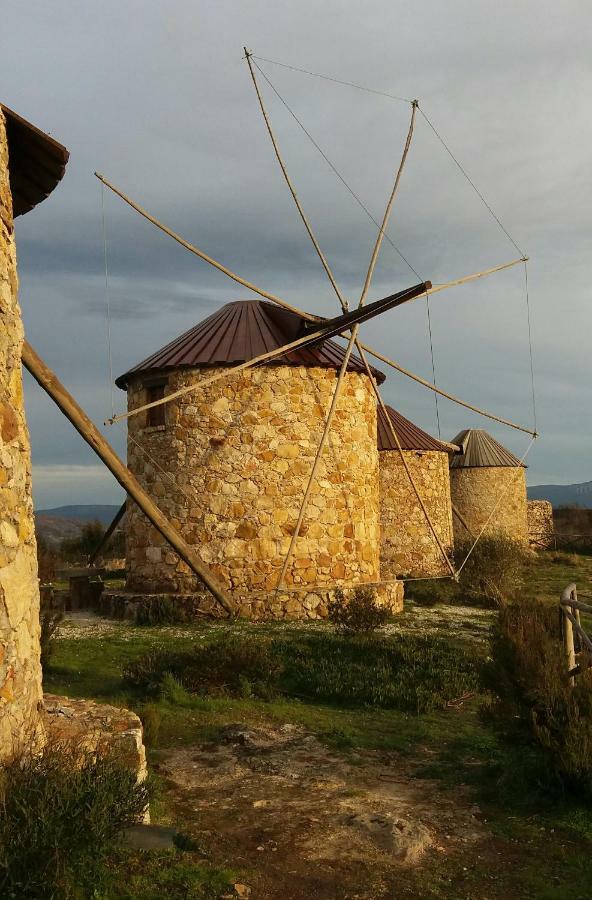 Casa Do Alto Βίλα Penacova Εξωτερικό φωτογραφία